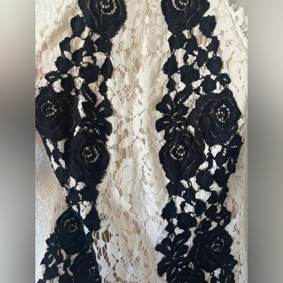 SAYLOR | Alexis Dress in Cream and Black Lace - Picture 5 of 6